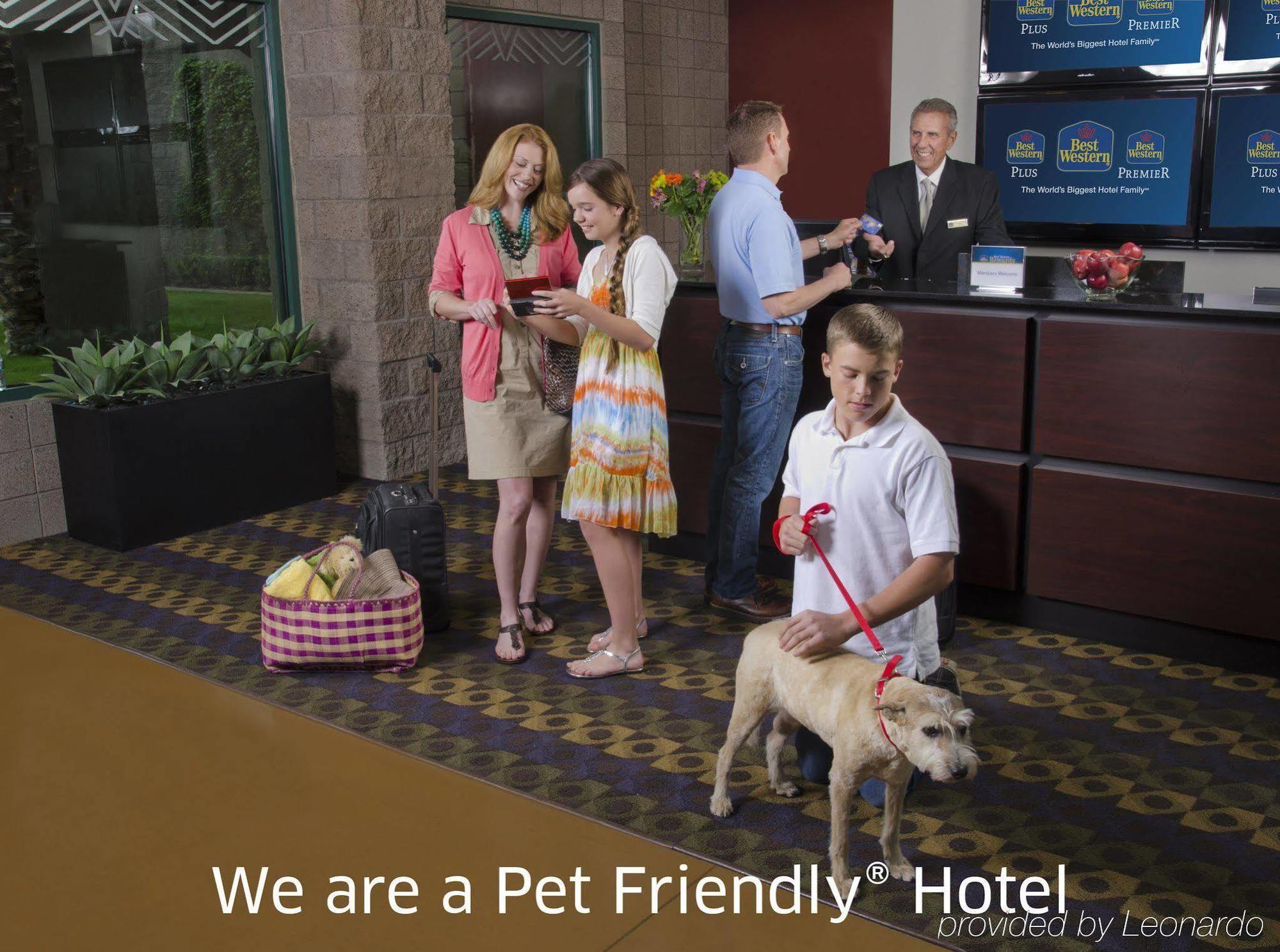Best Western Plus Lytle Inn And Suites Bagian luar foto